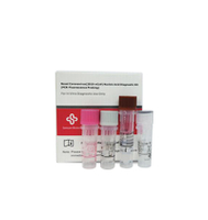 Novel Corona Virus RT PCR Extraction Test Kit CE EUA certificato