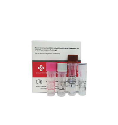 Novel Corona Virus RT PCR Extraction Test Kit CE EUA certificato